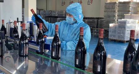 好品山東|青島西海岸新區:著力做強精深加工 加快藍莓全產業鏈發展