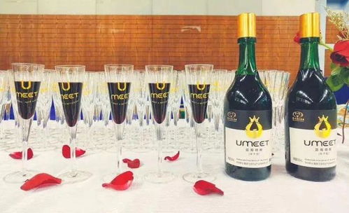 年度酒訊⑤丨2022年微醺實錄 低度酒扎堆 同質化中突圍